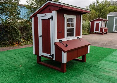 Mini-Chicken-Coop-(25)